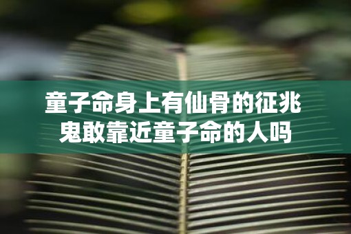童子命身上有仙骨的征兆 鬼敢靠近童子命的人吗