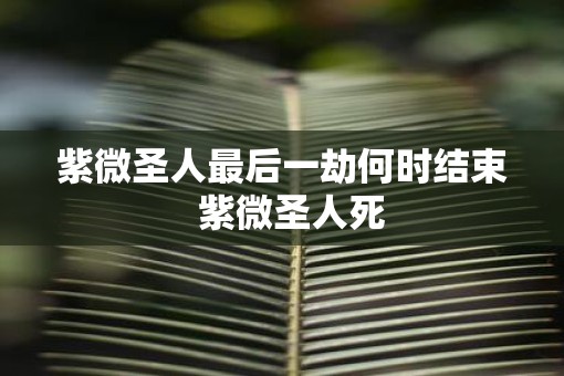 紫微圣人最后一劫何时结束  紫微圣人死