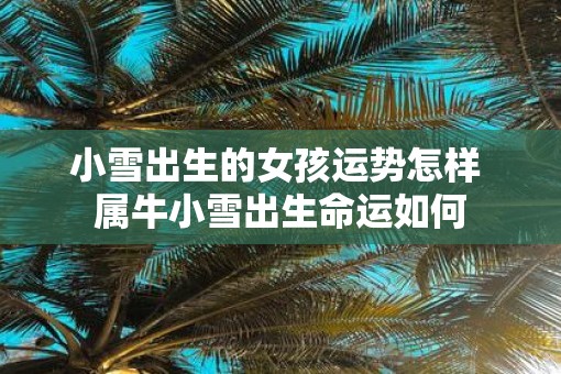 小雪出生的女孩运势怎样 属牛小雪出生命运如何
