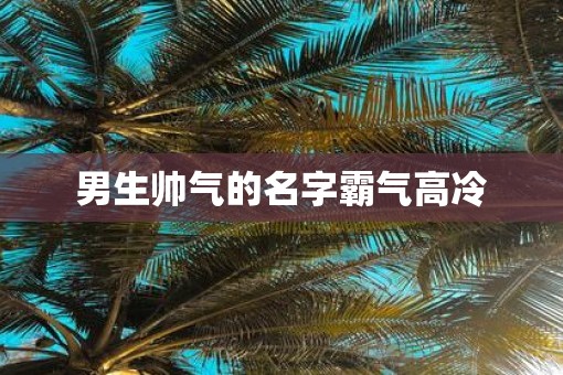男生帅气的名字霸气高冷