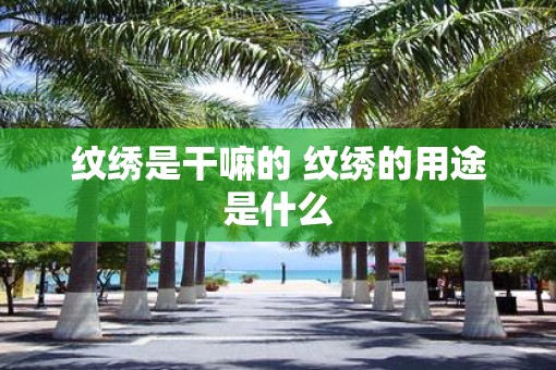 纹绣是干嘛的 纹绣的用途是什么