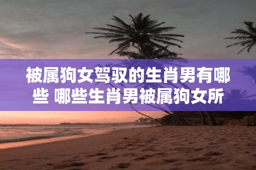 被属狗女驾驭的生肖男有哪些 哪些生肖男被属狗女所驾驭