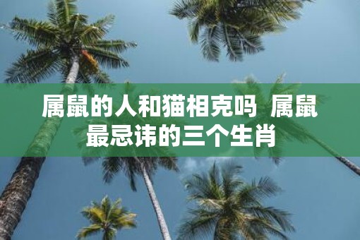 属鼠的人和猫相克吗  属鼠最忌讳的三个生肖
