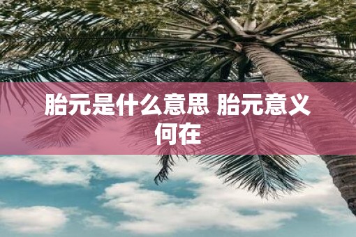 胎元是什么意思 胎元意义何在