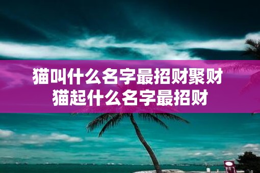 猫叫什么名字最招财聚财 猫起什么名字最招财