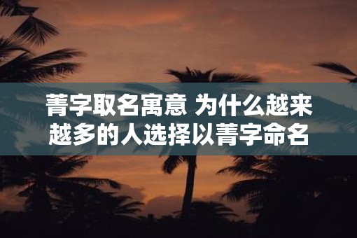 菁字取名寓意 为什么越来越多的人选择以菁字命名