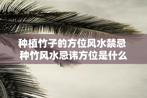 种植竹子的方位风水禁忌 种竹风水忌讳方位是什么