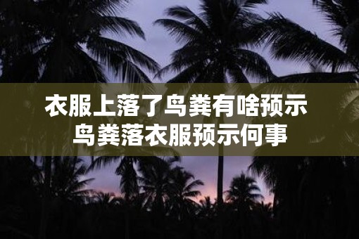 衣服上落了鸟粪有啥预示 鸟粪落衣服预示何事