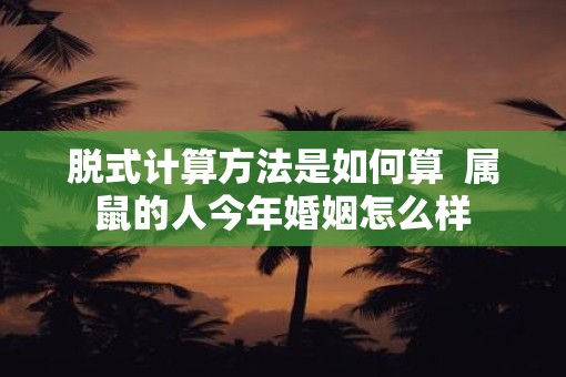脱式计算方法是如何算  属鼠的人今年婚姻怎么样