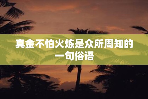 真金不怕火炼是众所周知的一句俗语