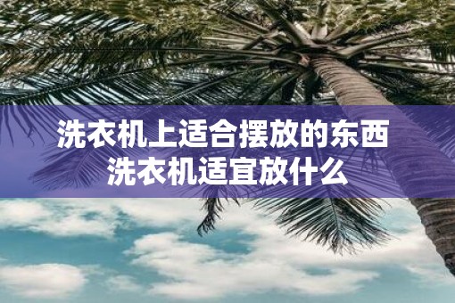 洗衣机上适合摆放的东西 洗衣机适宜放什么