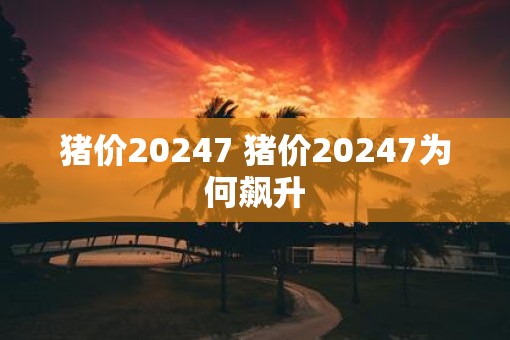 猪价20257 猪价20257为何飙升