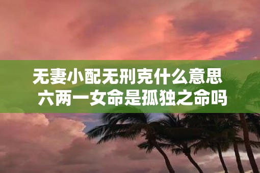 无妻小配无刑克什么意思  六两一女命是孤独之命吗