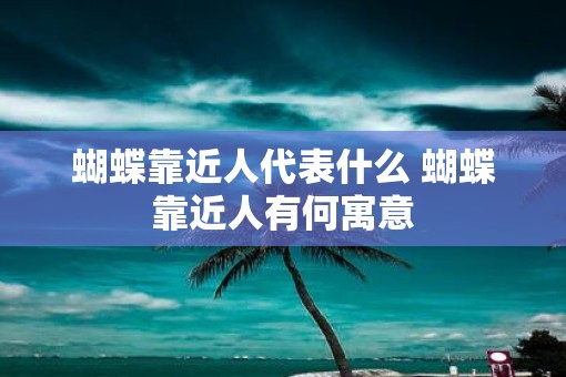 蝴蝶靠近人代表什么 蝴蝶靠近人有何寓意