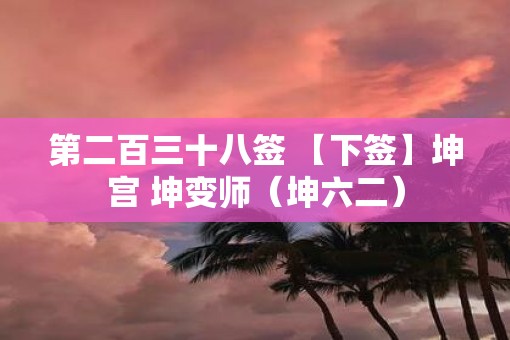 第二百三十八签 【下签】坤宫 坤变师（坤六二）