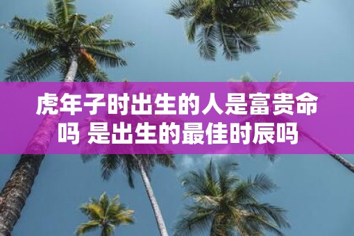 虎年子时出生的人是富贵命吗 是出生的最佳时辰吗