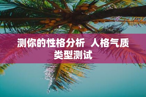 测你的性格分析  人格气质类型测试