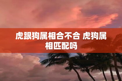 虎跟狗属相合不合 虎狗属相匹配吗