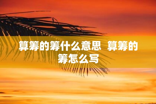 算筹的筹什么意思  算筹的筹怎么写