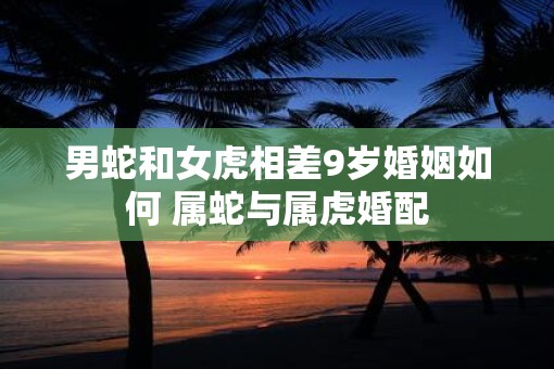 男蛇和女虎相差9岁婚姻如何 属蛇与属虎婚配