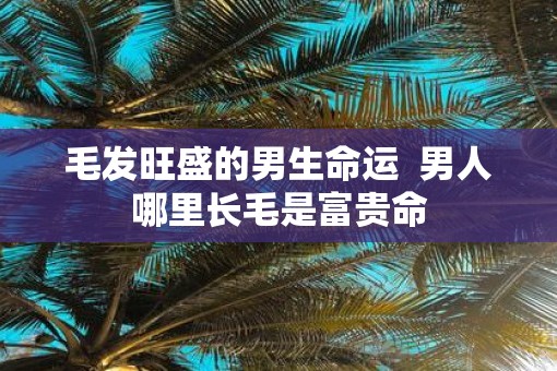 毛发旺盛的男生命运  男人哪里长毛是富贵命