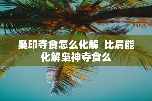 枭印夺食怎么化解  比肩能化解枭神夺食么