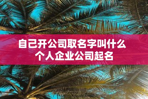 自己开公司取名字叫什么 个人企业公司起名 自己开公司取名字叫什么 个人企业公司起名
