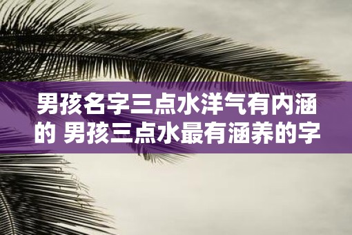 男孩名字三点水洋气有内涵的 男孩三点水最有涵养的字