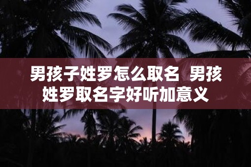 男孩子姓罗怎么取名  男孩姓罗取名字好听加意义