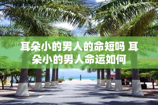 耳朵小的男人的命短吗 耳朵小的男人命运如何