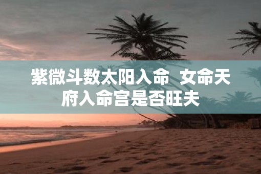 紫微斗数太阳入命  女命天府入命宫是否旺夫