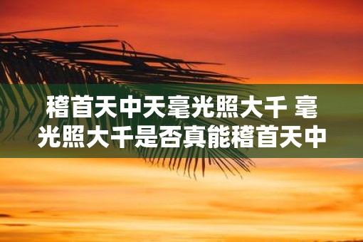 稽首天中天毫光照大千 毫光照大千是否真能稽首天中天