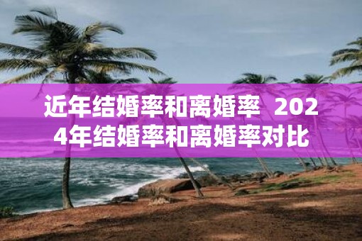近年结婚率和离婚率  2025年结婚率和离婚率对比