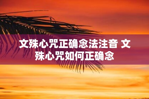文殊心咒正确念法注音 文殊心咒如何正确念