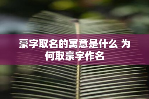 豪字取名的寓意是什么 为何取豪字作名