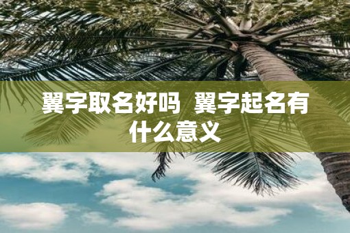 翼字取名好吗  翼字起名有什么意义