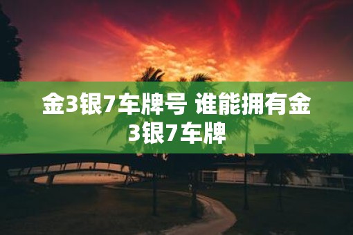 金3银7车牌号 谁能拥有金3银7车牌