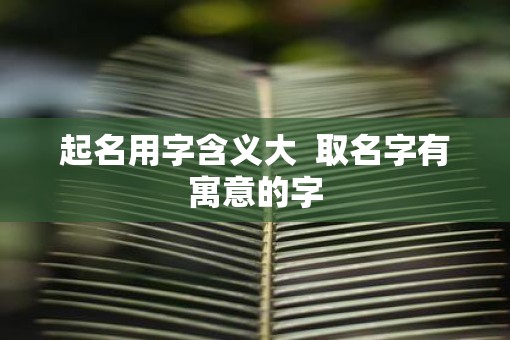起名用字含义大  取名字有寓意的字
