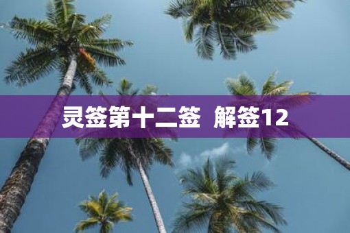 灵签第十二签  解签12