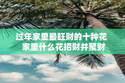 过年家里最旺财的十种花  家里什么花招财并聚财