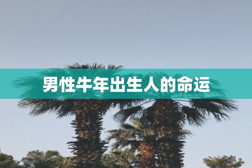 男性牛年出生人的命运