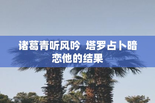 诸葛青听风吟  塔罗占卜暗恋他的结果