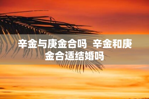 辛金与庚金合吗  辛金和庚金合适结婚吗