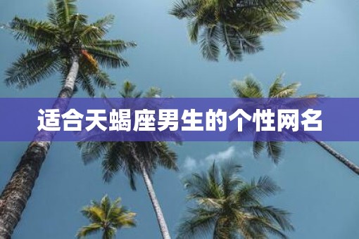 适合天蝎座男生的个性网名