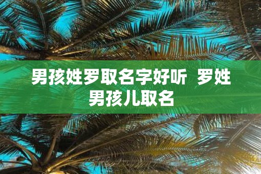 男孩姓罗取名字好听  罗姓男孩儿取名