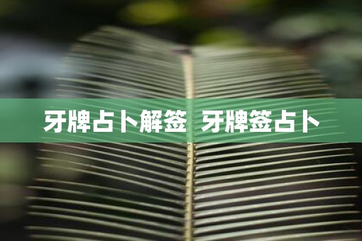牙牌占卜解签  牙牌签占卜