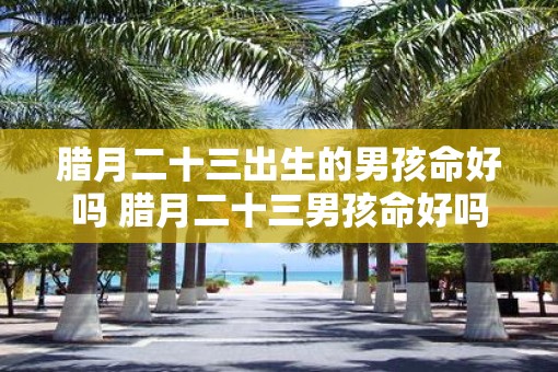腊月二十三出生的男孩命好吗 腊月二十三男孩命好吗