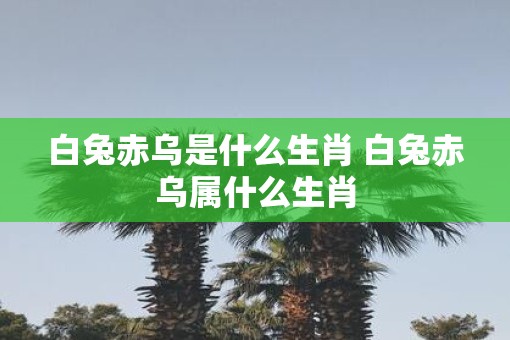 白兔赤乌是什么生肖 白兔赤乌属什么生肖