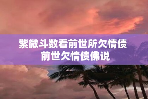 紫微斗数看前世所欠情债  前世欠情债佛说