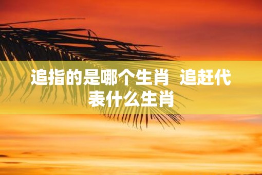 追指的是哪个生肖  追赶代表什么生肖